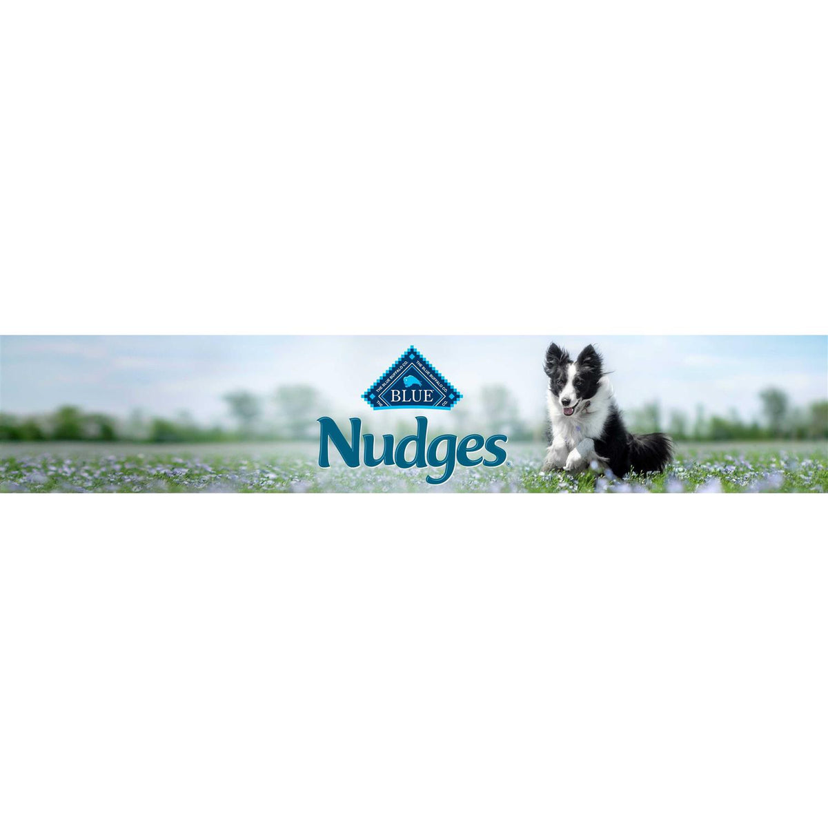 Chicken Natural Dog Treats A651422