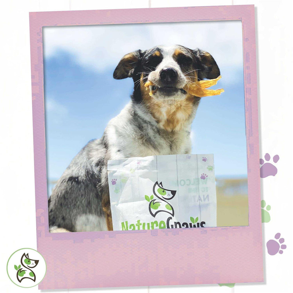 Beef Tendon Dog Chews H30390