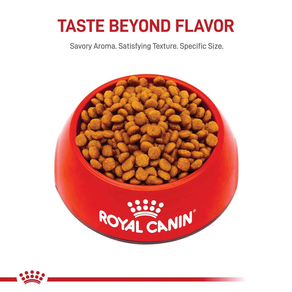 Miniature Schnauzer Puppy Dry Dog Food F4825