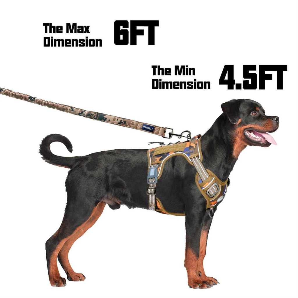 Heavy Duty Bungee Dog Leash O2967