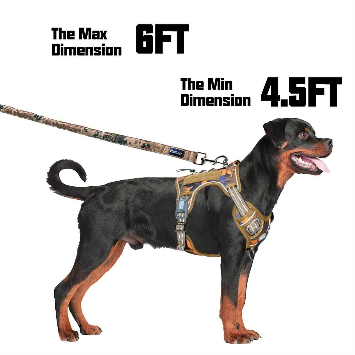 Heavy Duty Bungee Dog Leash O2967