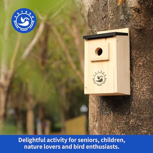 2 Pack Bird Houses K784658