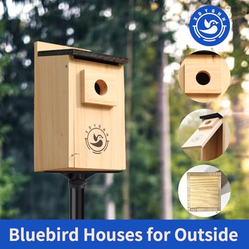 2 Pack Bird Houses K784658