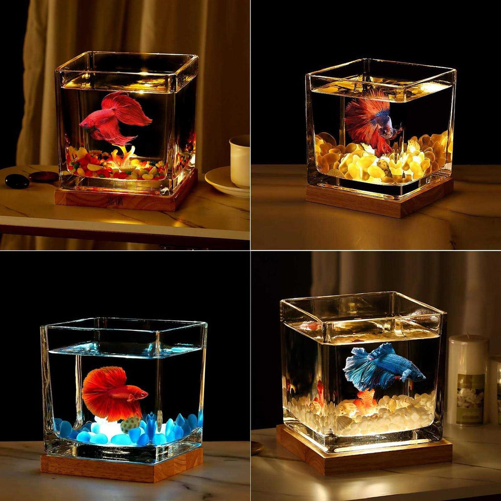 0.81 Gallon Glass Fish Tank Kit Z2871