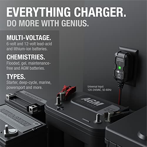 1A 6V and 12V Smart Car Battery Charger Y6827