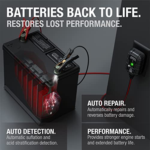 1A 6V and 12V Smart Car Battery Charger Y6827