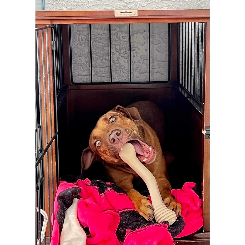 Tough Dog Chew Beef Y6445