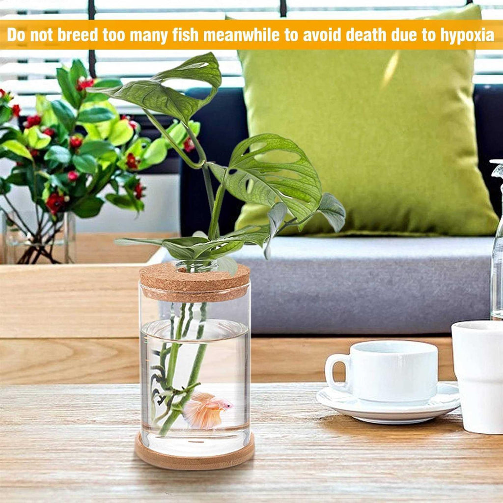 Clear Glass Betta Fish Tank W29588