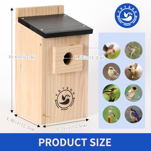 2 Pack Bird Houses K784658