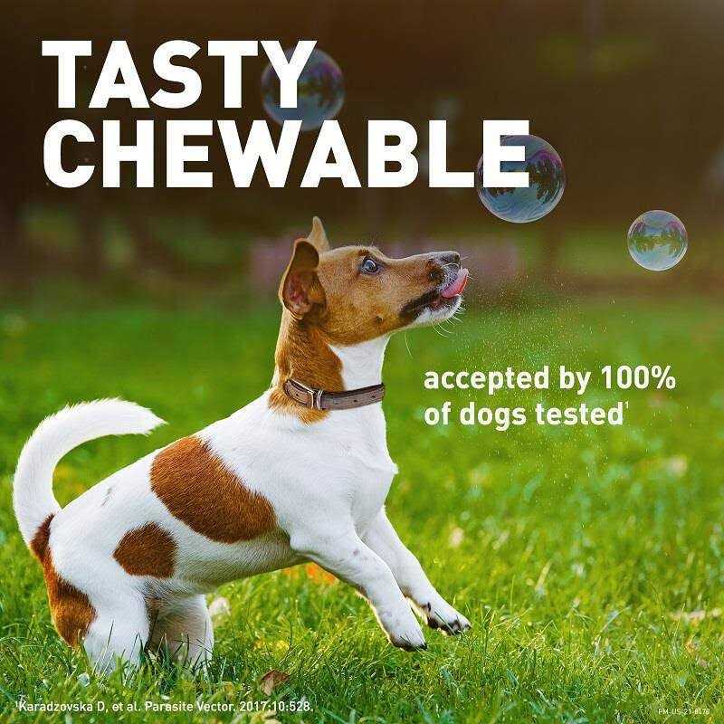 Chewable Tablet for Dogs 50.1-100 lbs V344