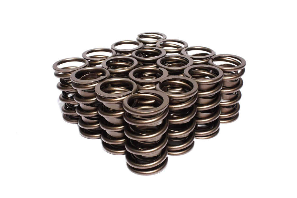 Dual Valve Springs Z38605