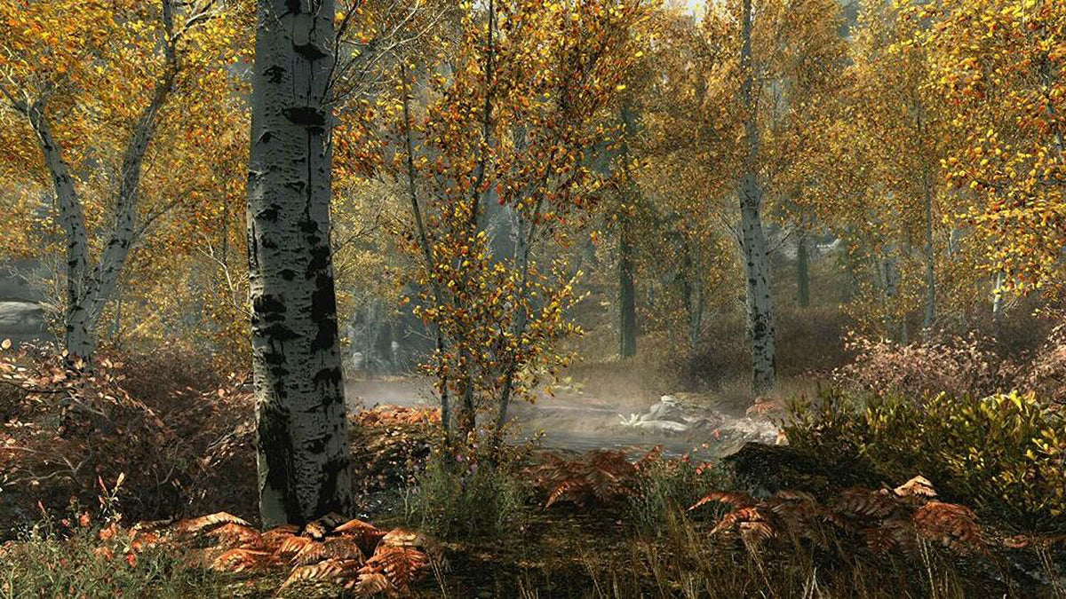 The Elder Scrolls V Skyrim Special Xbox One F14141