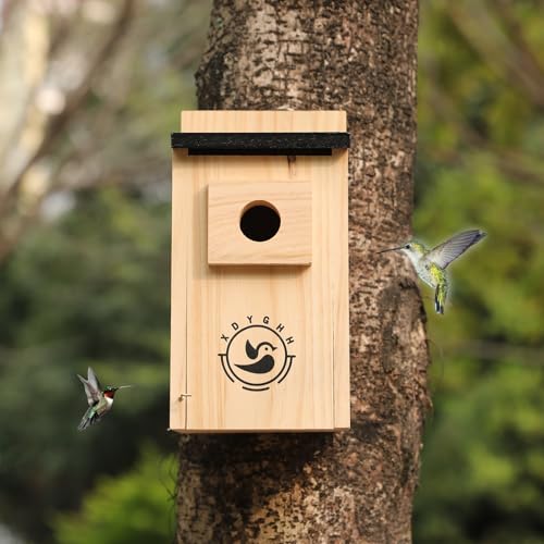 2 Pack Bird Houses K784658