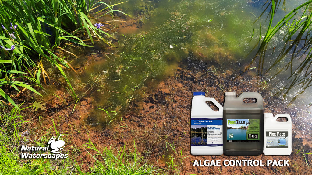 Algae Control Package X450