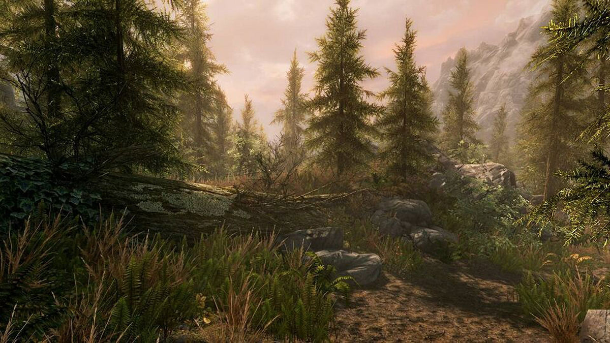 The Elder Scrolls V Skyrim Special Xbox One F14141