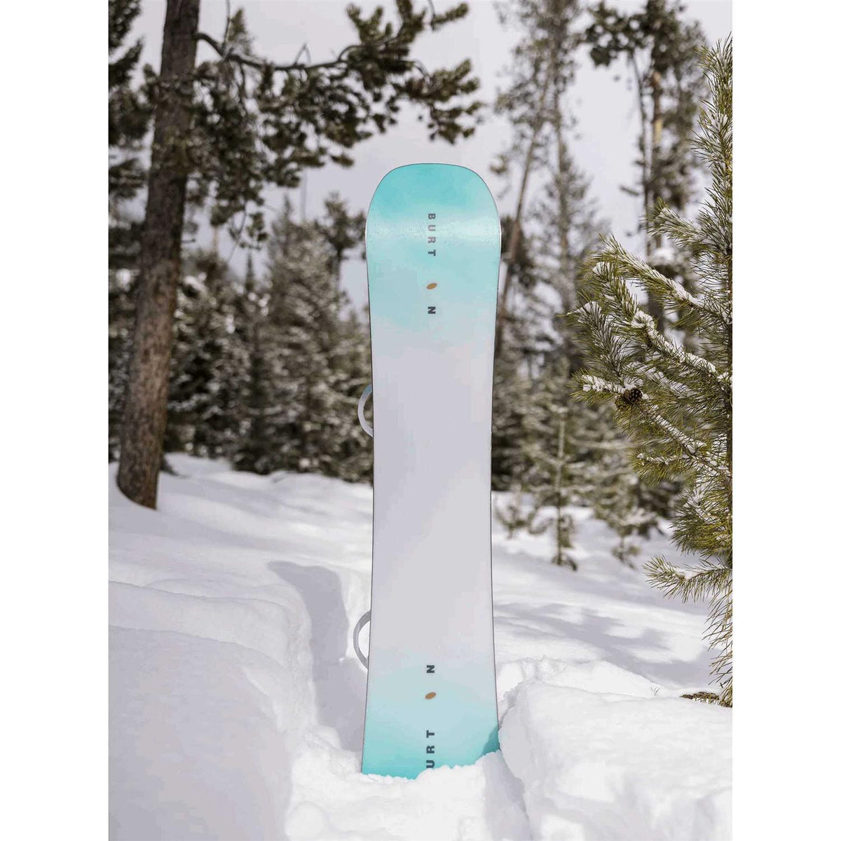 Womens Story Board Snowboard F3304
