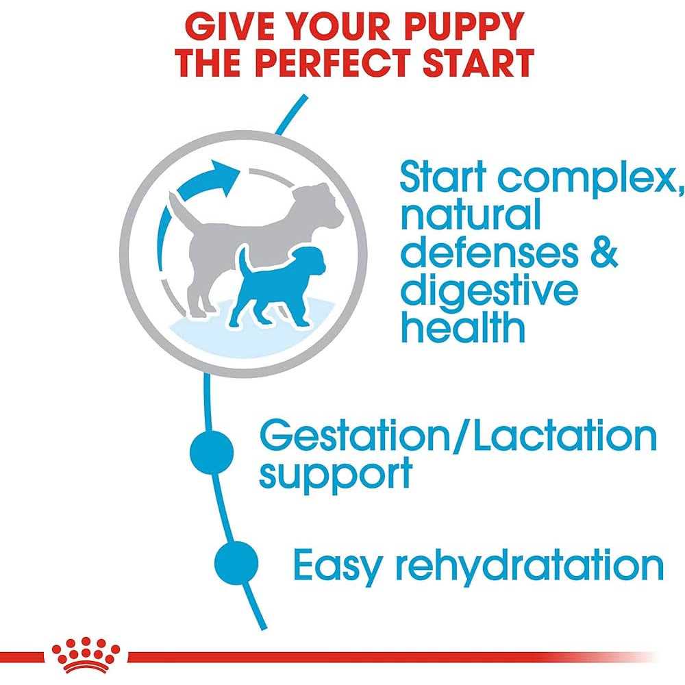 Small Starter Dry Dog Food D913315