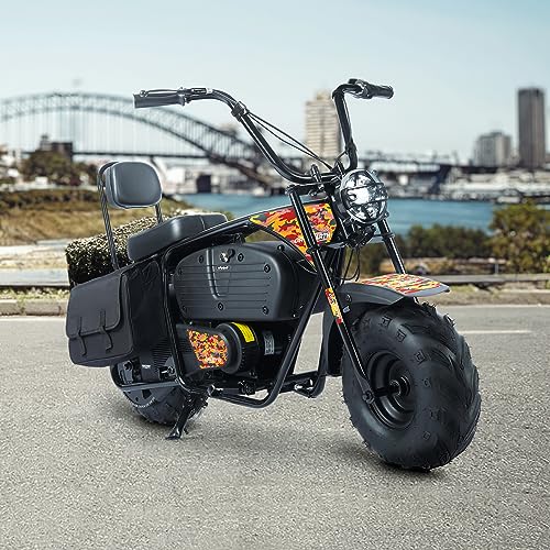 36V 1000W Electric Dirt Bike, 2-Speed Off-Road Motorcycle, Dark Red M814