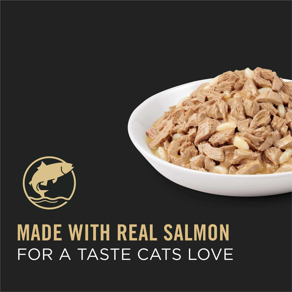 Adult Cat Food Salmon & Rice Entree in Sauce T361028