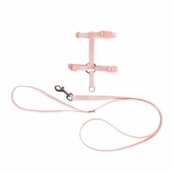 Kitten Harness & Leash Set I1300