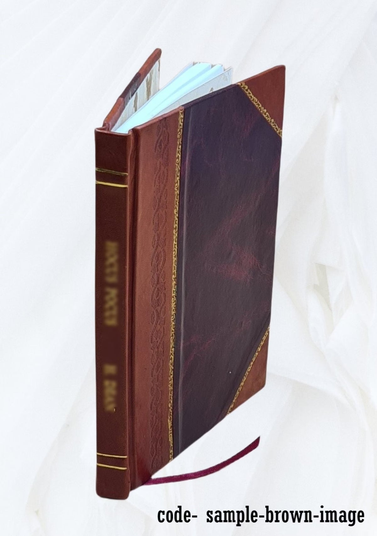 Brief of Defendant/Appellee N603850