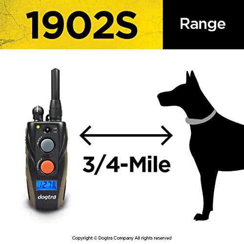 Remote Training Collar L11241