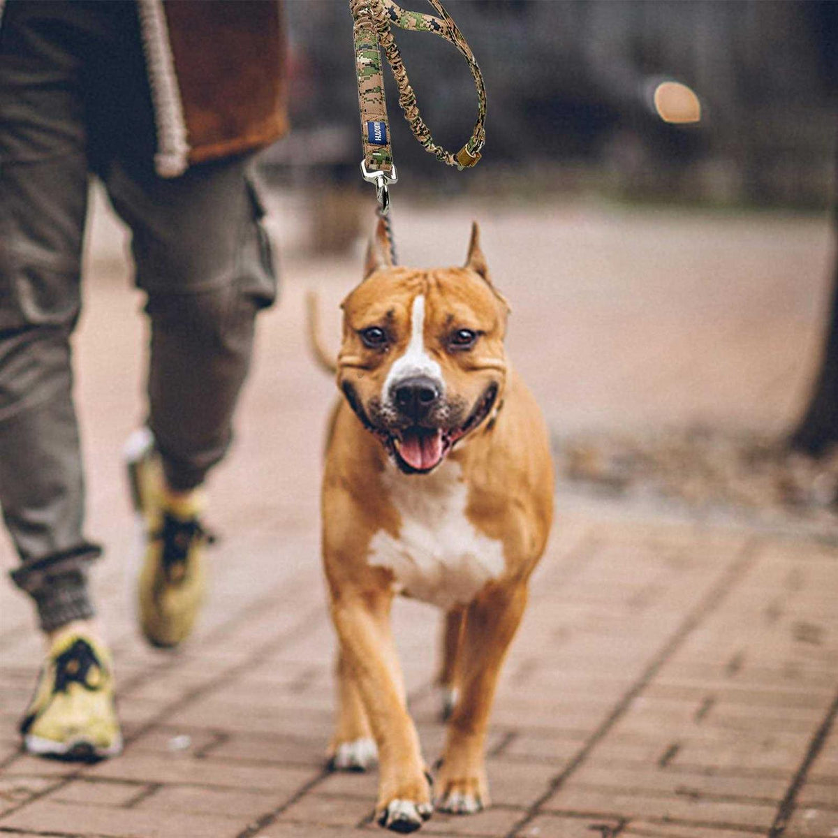 Heavy Duty Bungee Dog Leash O2967