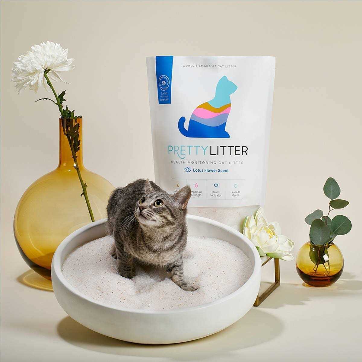 Health Monitoring Cat Litter G8389