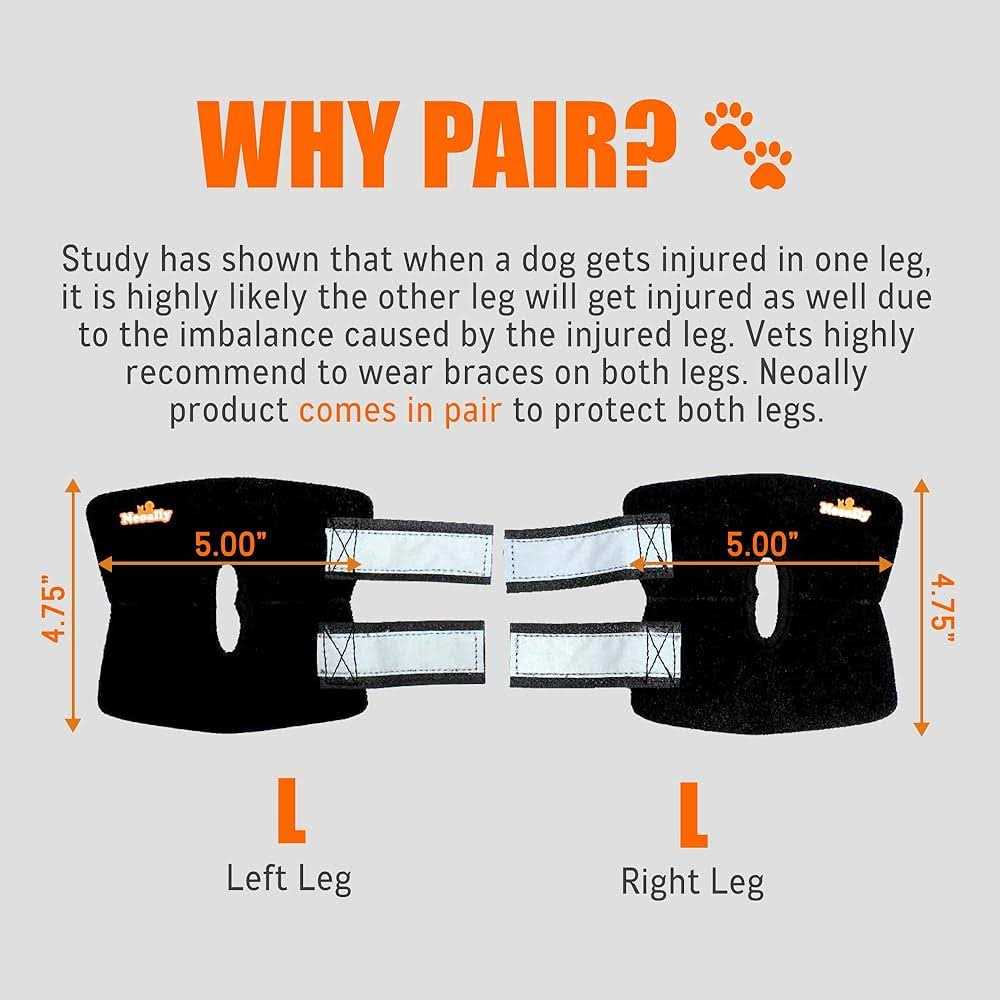 Dog Rear Leg Hock Ankle Support with Reflective Straps A424351
