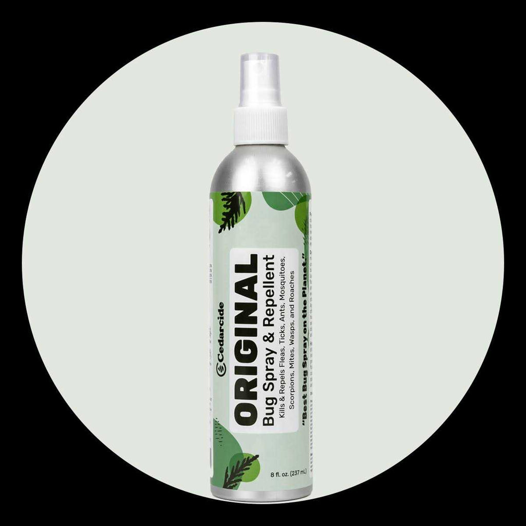 Bug Spray & Repellent G249793