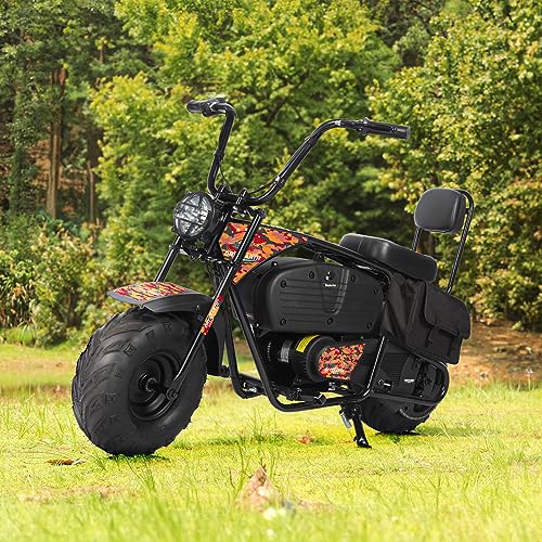 36V 1000W Electric Dirt Bike, 2-Speed Off-Road Motorcycle, Dark Red M814