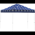 10 ft x 10 ft Straight Leg Pop-Up Canopy Y566