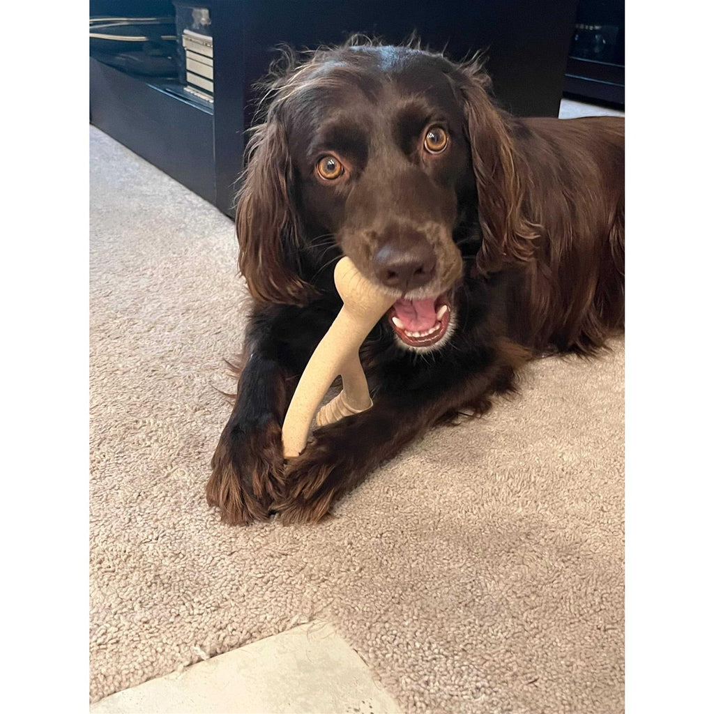 Tough Dog Chew Beef Y6445