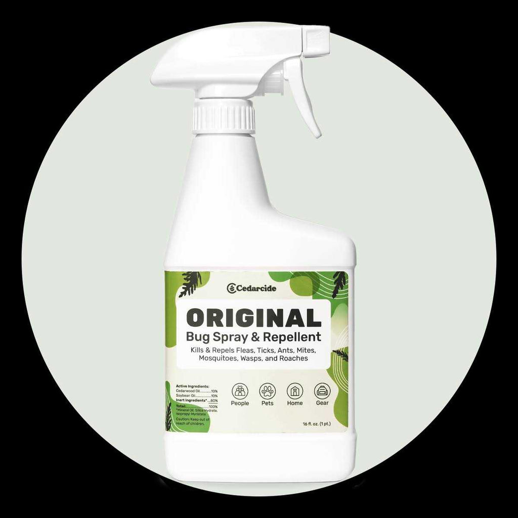Bug Spray & Repellent G249793