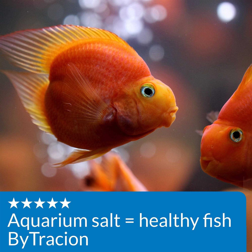 Aquarium Salt B9698