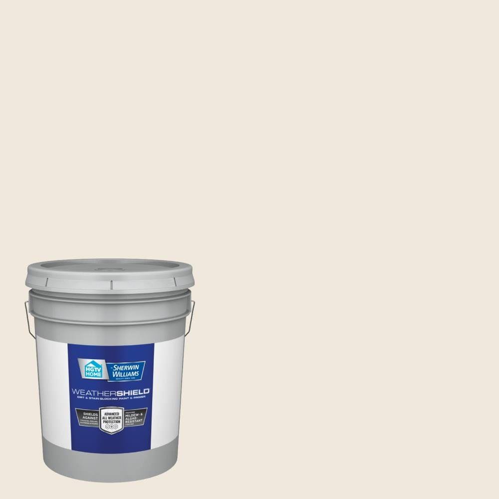 Exterior Paint (5-Gallon) K551728