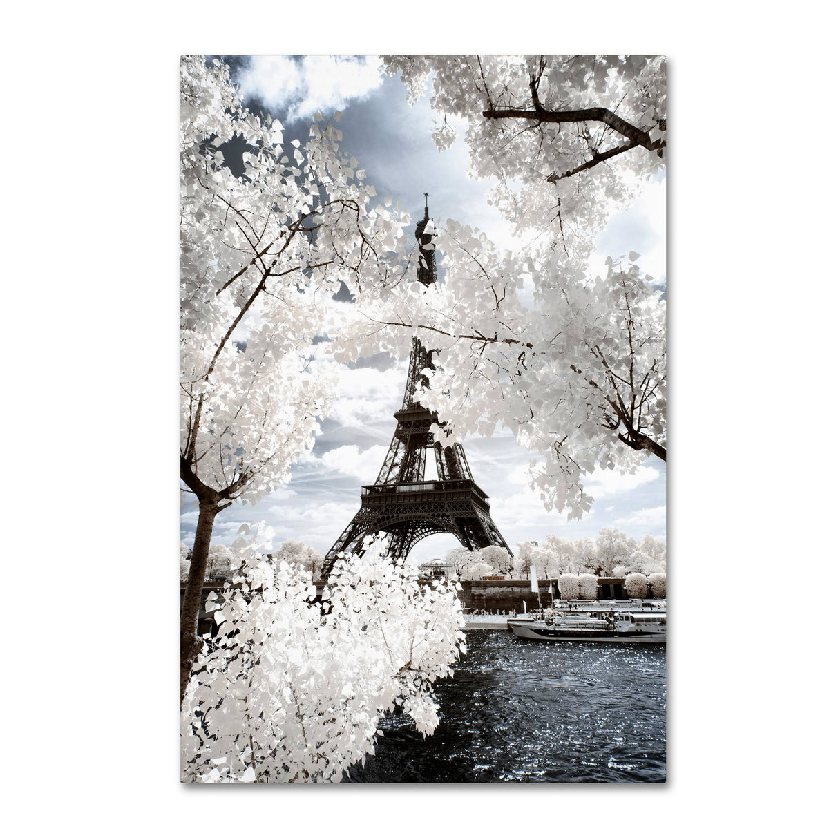 Canvas Art N982