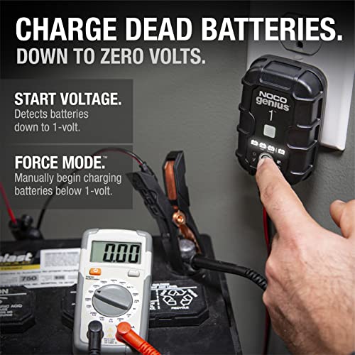 1A 6V and 12V Smart Car Battery Charger Y6827