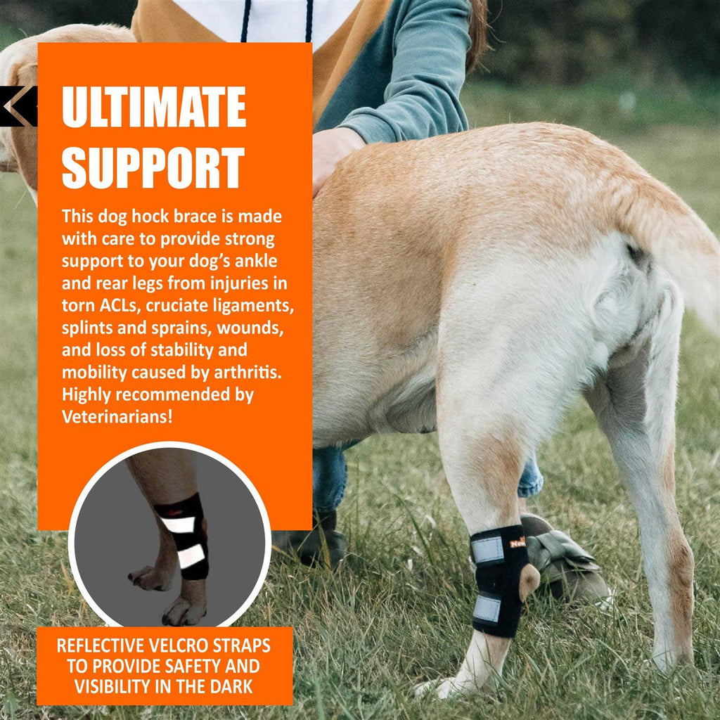 Dog Rear Leg Hock Ankle Support with Reflective Straps A424351
