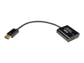 DisplayPort to DVI Adapter Converter 1080p 6in S91736