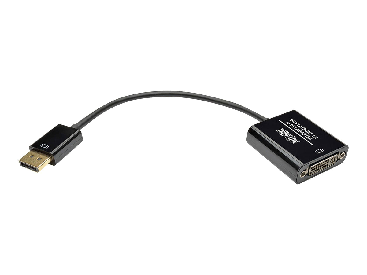 DisplayPort to DVI Adapter Converter 1080p 6in S91736