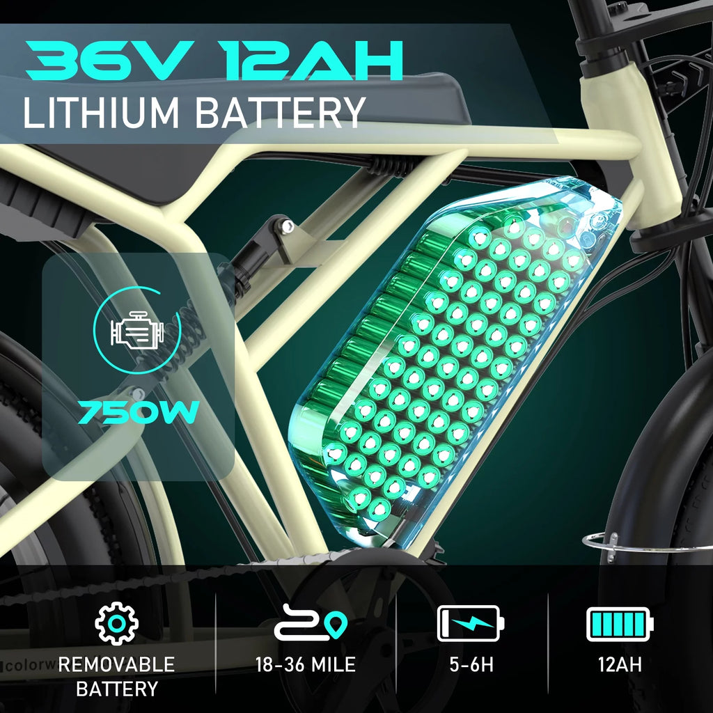 750W Electric Bike 20X4.0 Fat Tire 48V 15Ah Battery Q8754