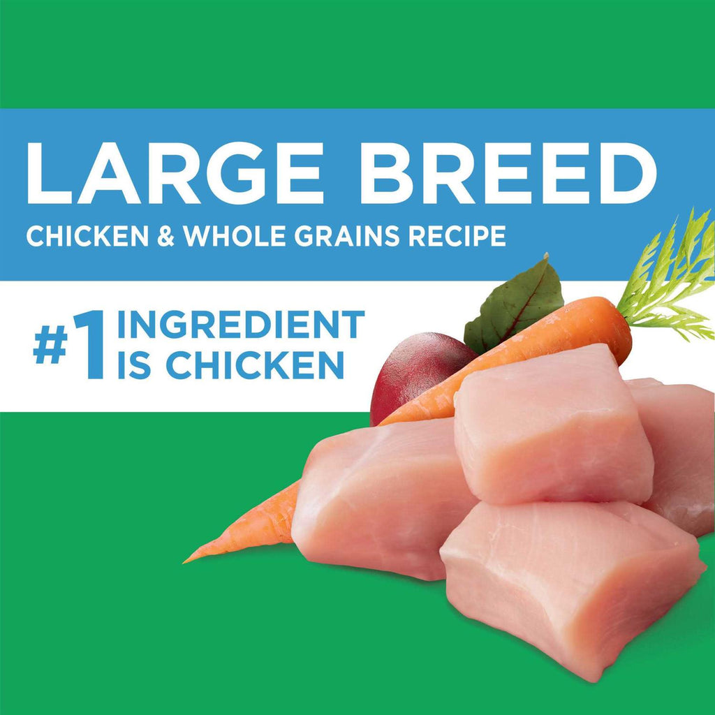 Chicken Dry Dog Food R4123