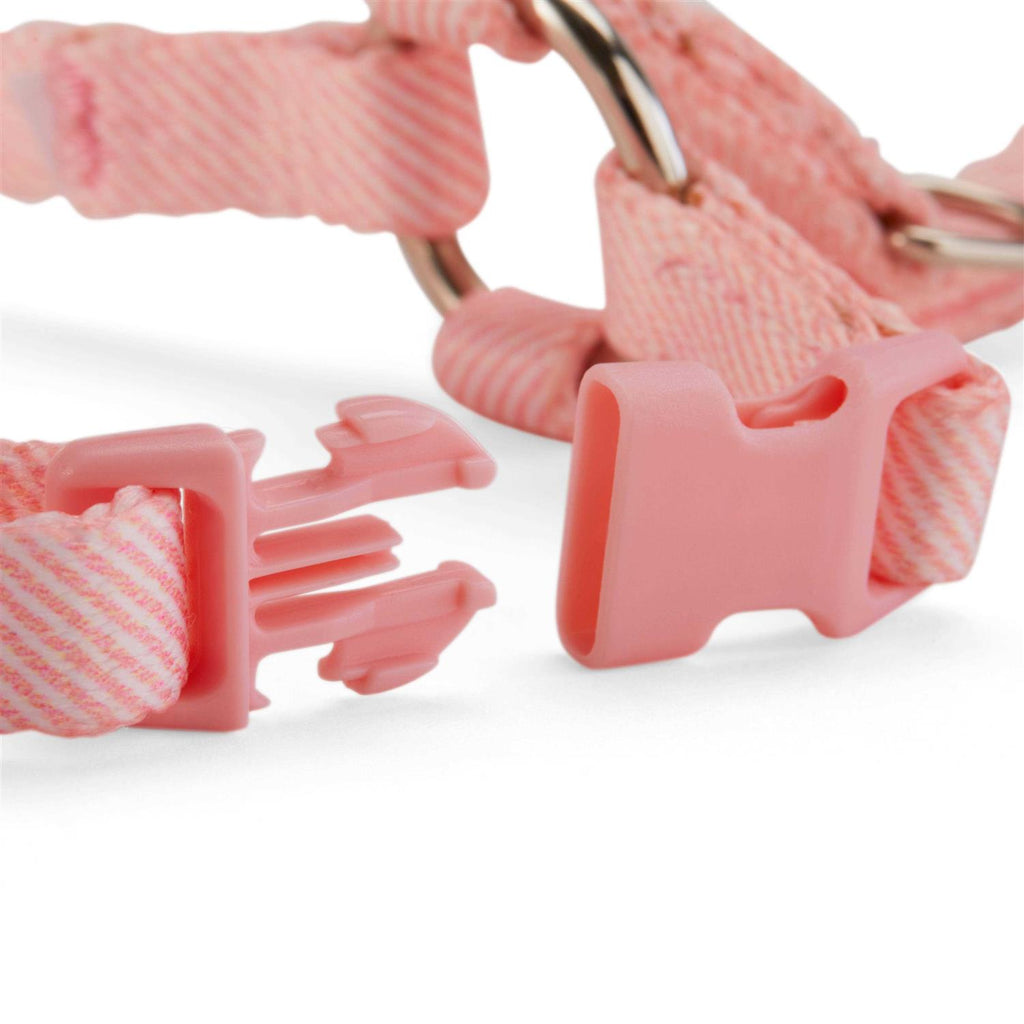 Kitten Harness & Leash Set I1300