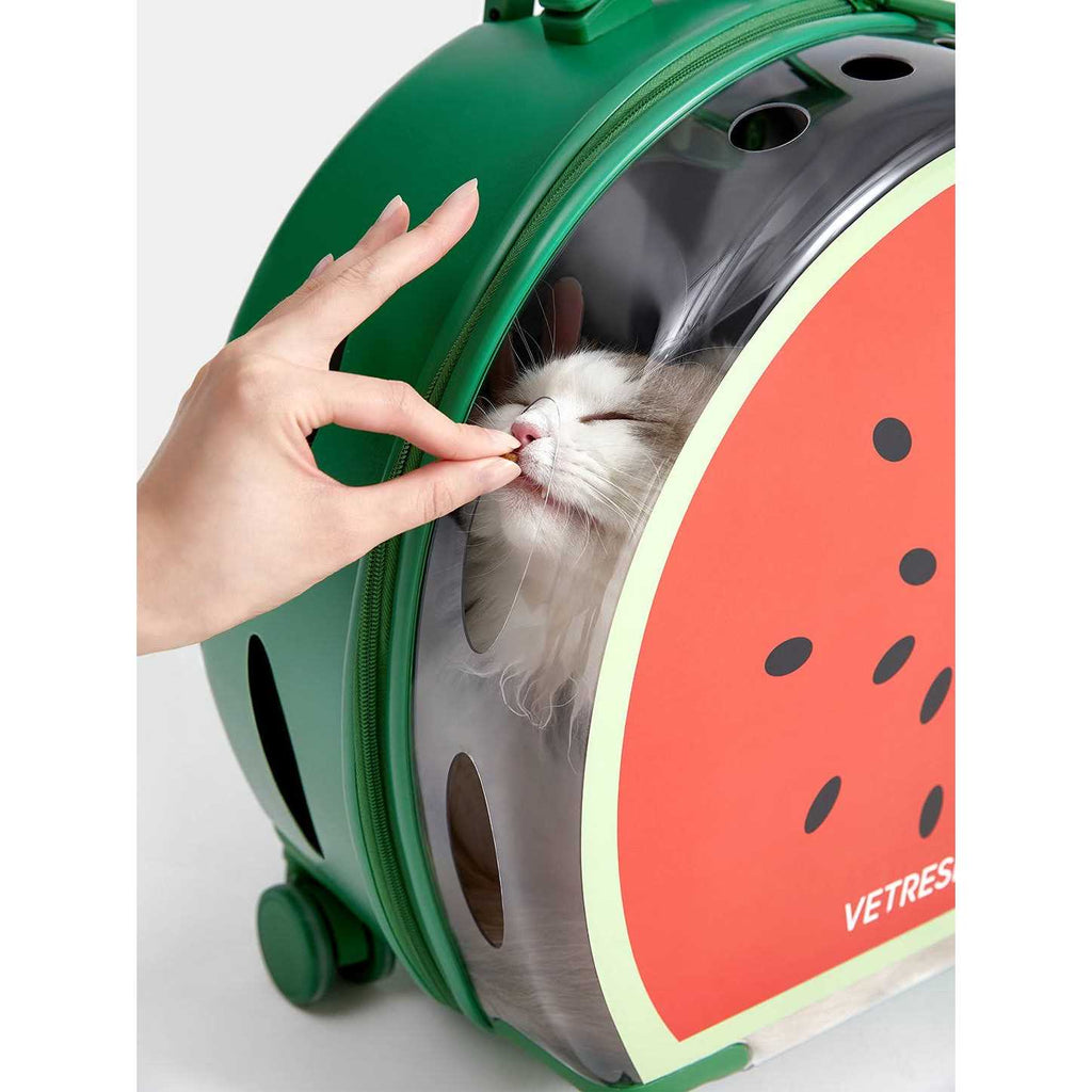 Dog & Cat Carrier O9763