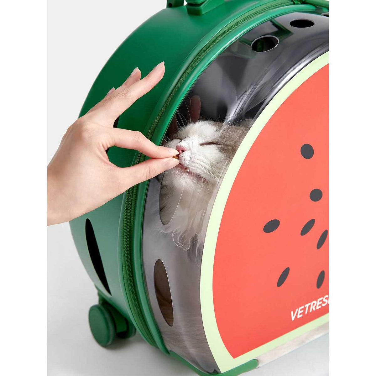 Dog & Cat Carrier O9763
