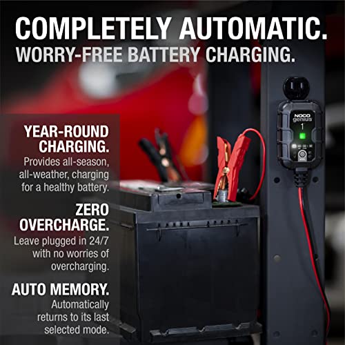 1A 6V and 12V Smart Car Battery Charger Y6827