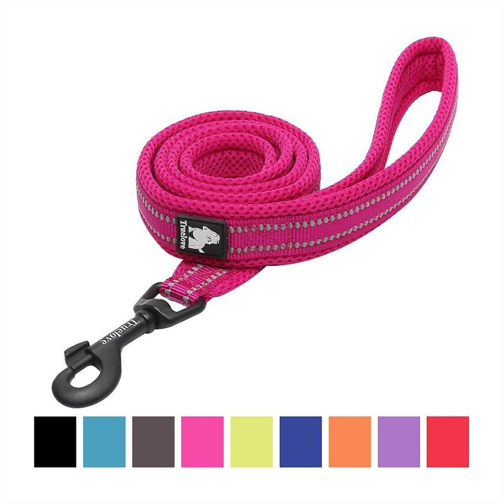 Padded Reflective Dog Leash D490428