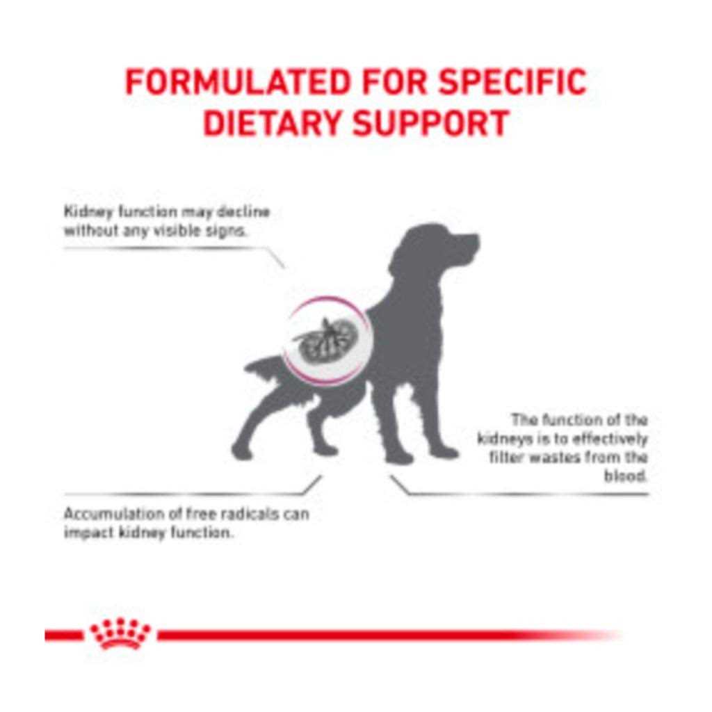 Renal Support Dry Dog Food X1191
