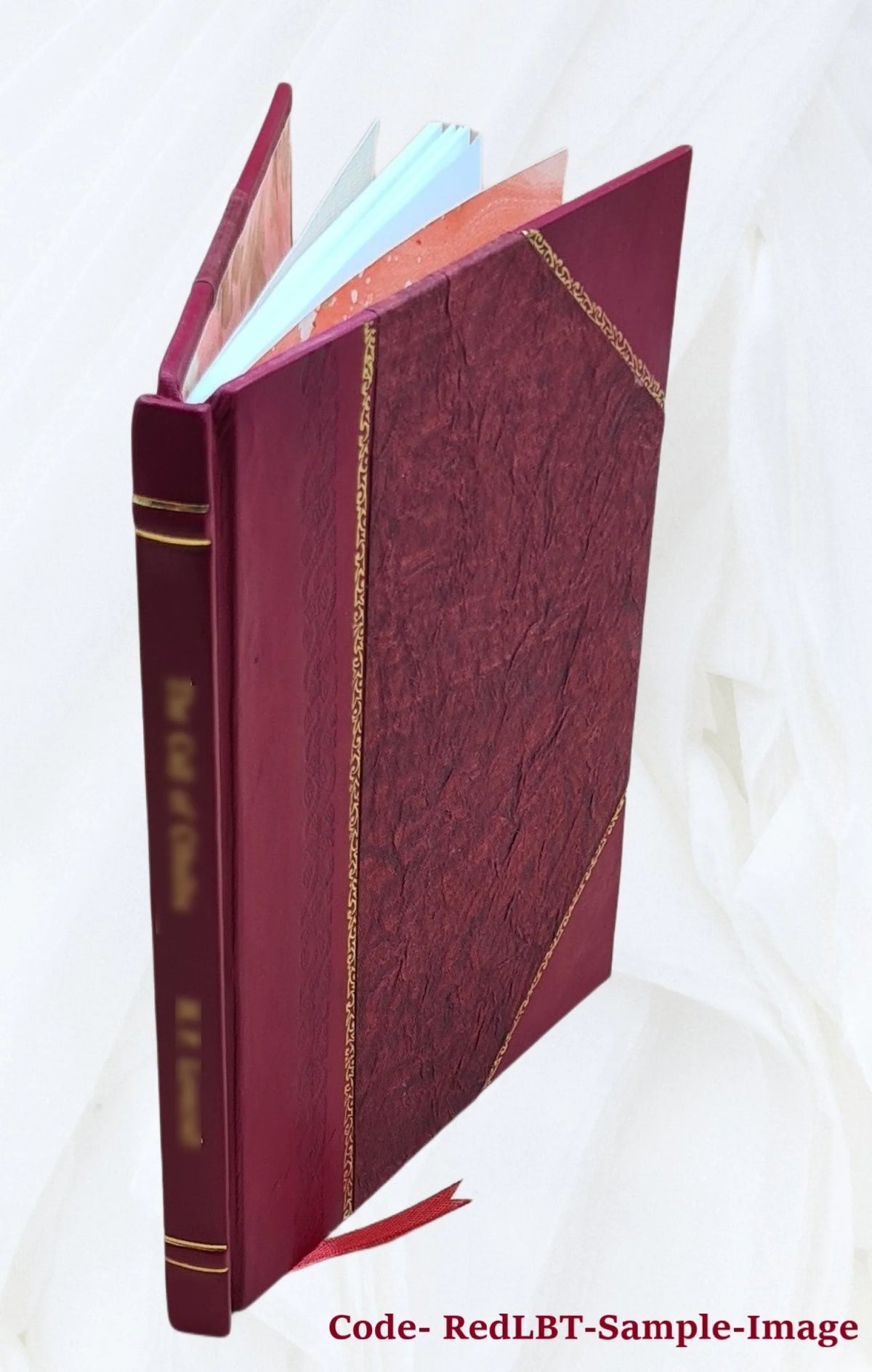 Brief of Defendant/Appellee N603850